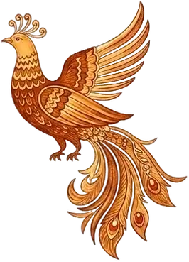 Bird Right